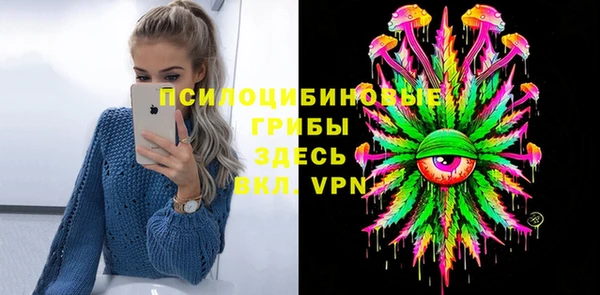 бошки Верхний Тагил